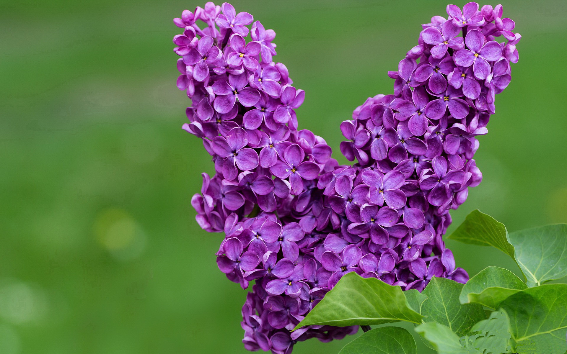 开云体育app安全下载-“最后一局，英雄时刻：全场屏息期待终极决杀”，最后一局游戏