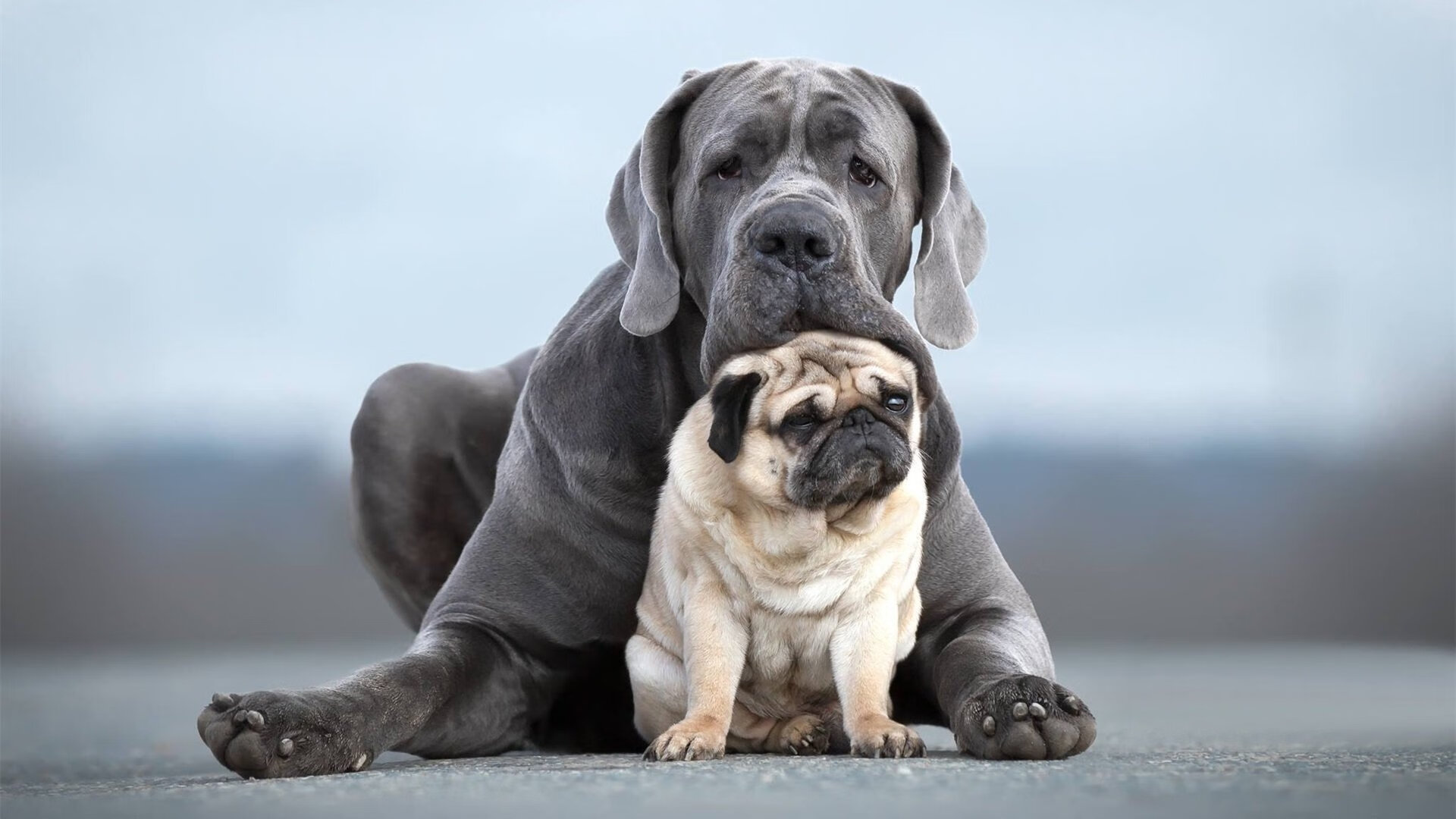 健康足球引领全民健身新潮流,服务多元化体育需求,足球与健康800字作文