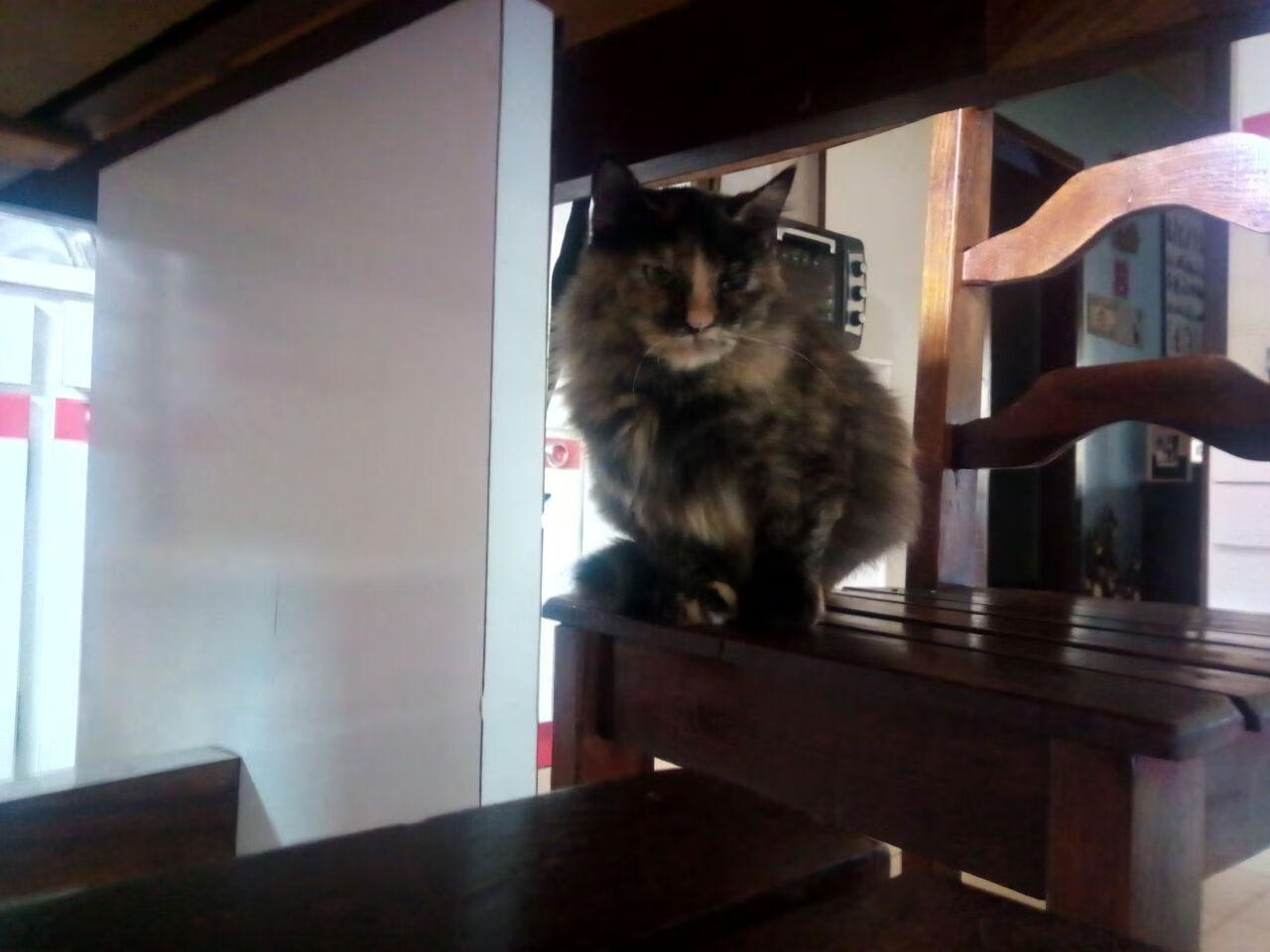 多元人才孵化平台：电竞行业从“玩”到“行”的转变