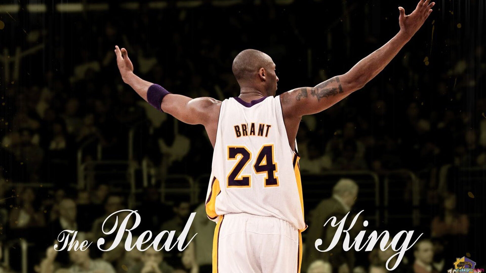 明日之星:青训营培养未来巨星的大变革,明日之星培训中心