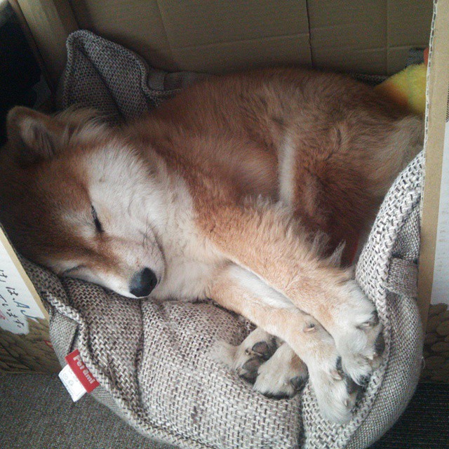 RNG关键战役精彩回顾,rng著名战役