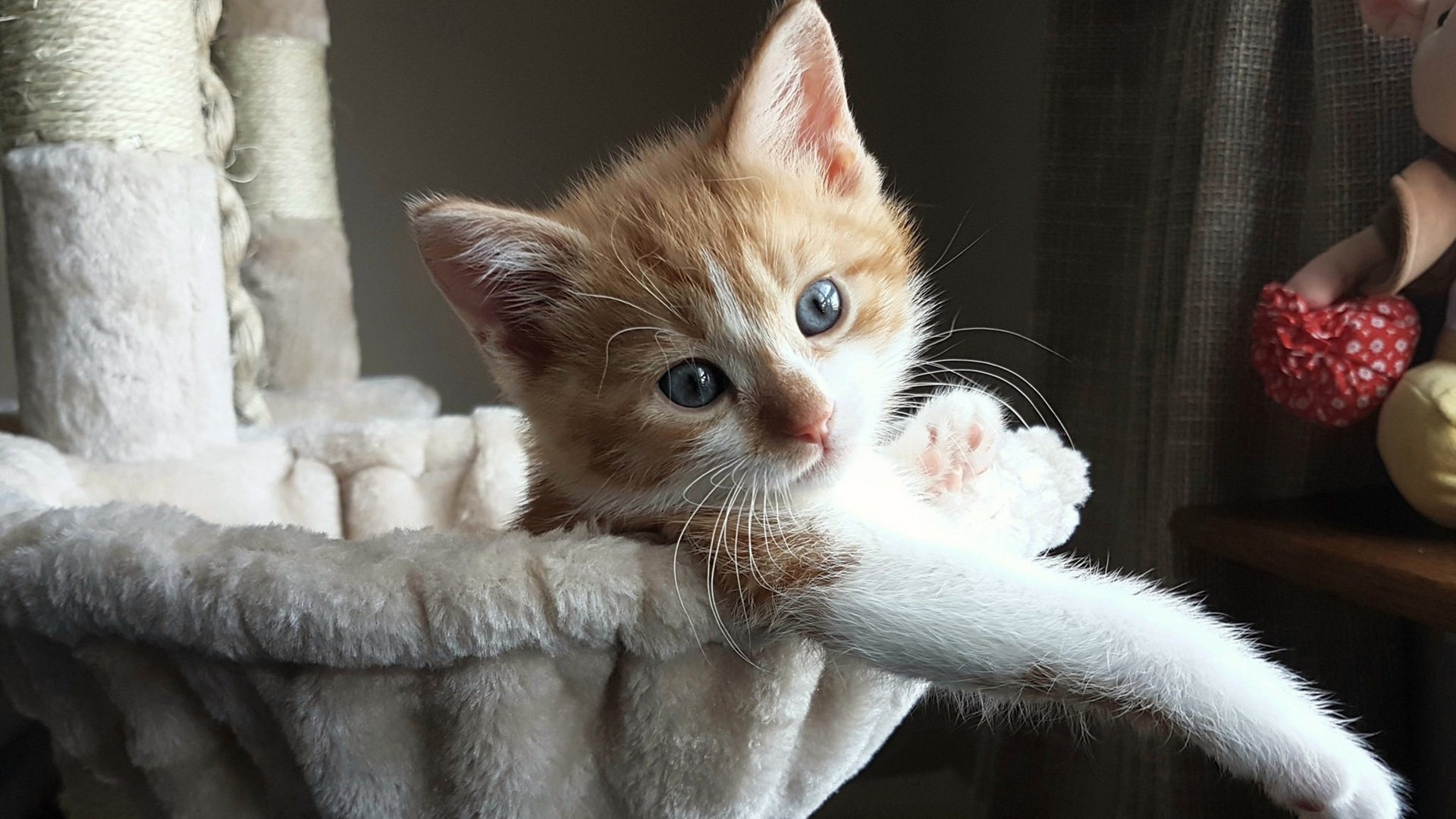 开云体育博彩-《湖人季后赛前景分析：詹姆斯和戴维斯能否带队走得更远？》，湖人顶薪续约戴维斯