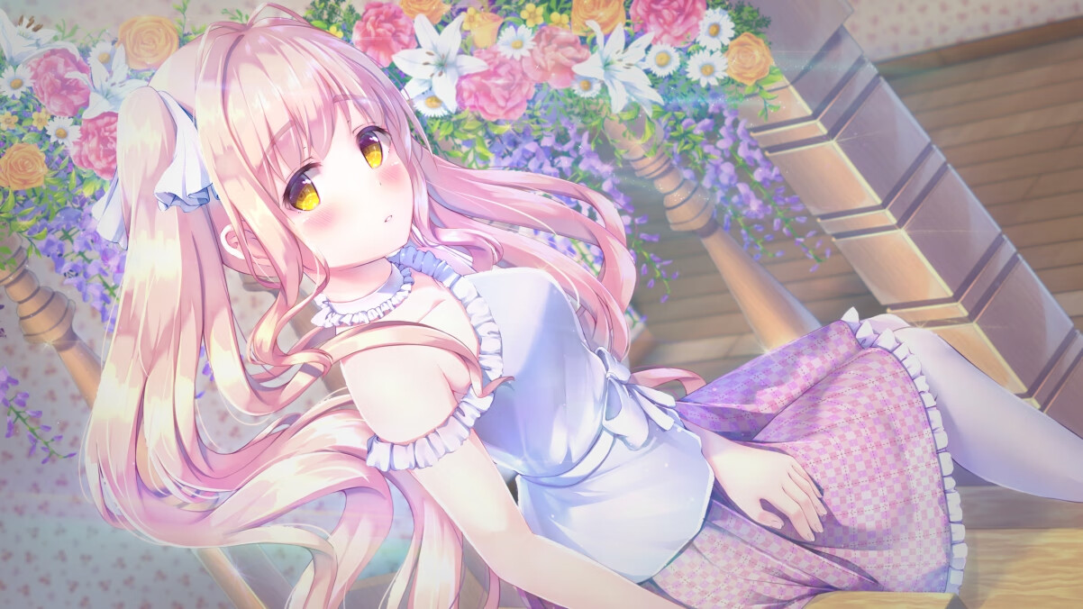 墨西哥马术协会开展马匹福利宣传活动，提升公众意识。，墨西哥赛马