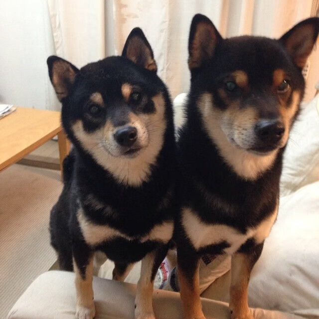 女足世界杯赛事安全保障措施，女足世界杯受伤