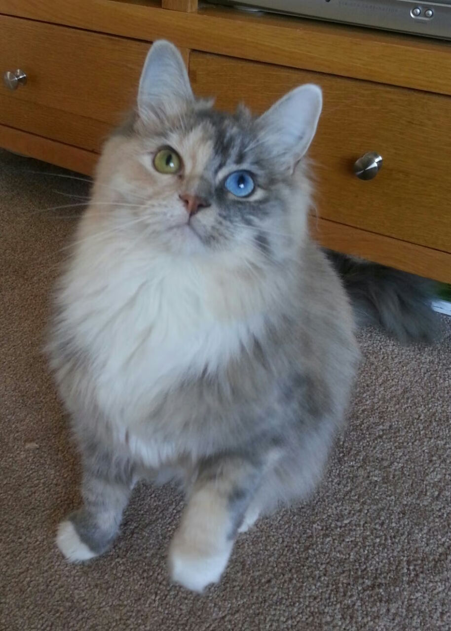 开云网页版-摩纳哥士气高涨，欲击败马赛取得胜利，摩纳哥gambit