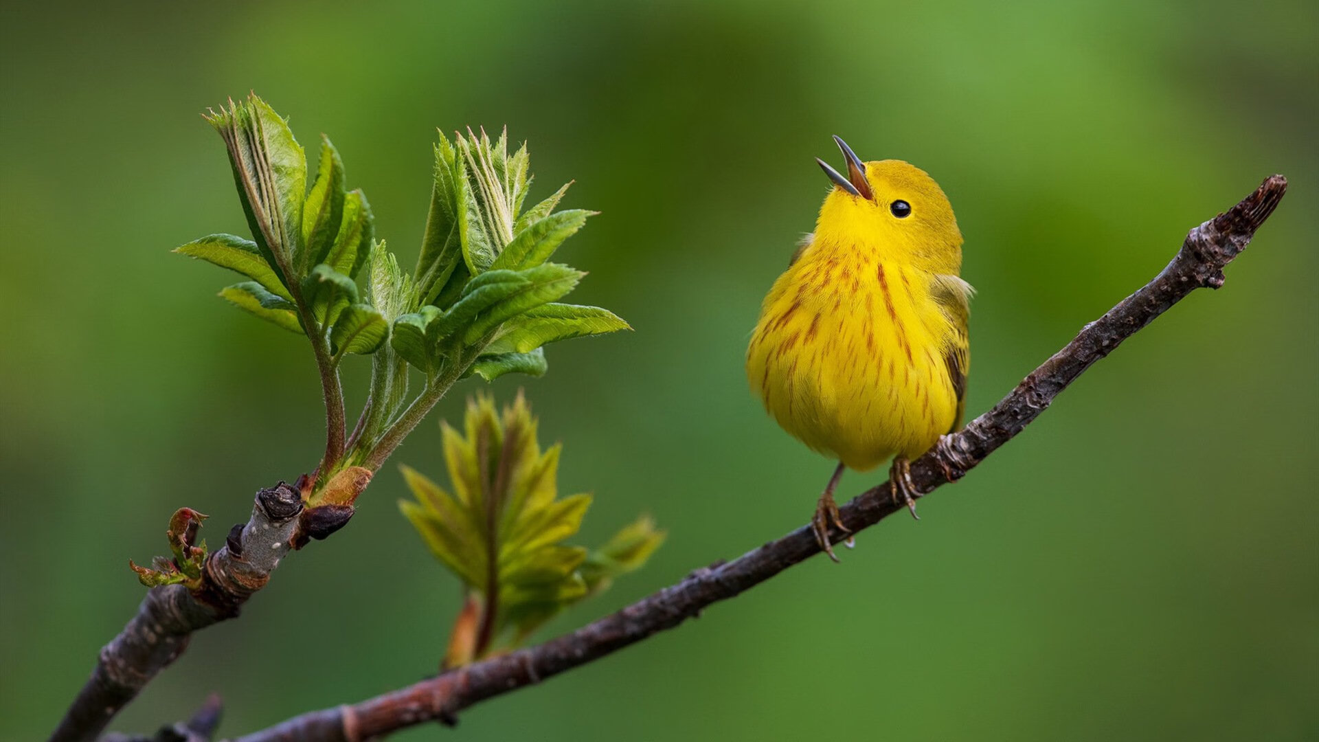 世界青少年网球挑战赛北京站亿万关注,国际青少年网球排名