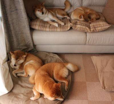 法甲青训心理训练促进抗压能力提升的实证研究,法甲青训排名