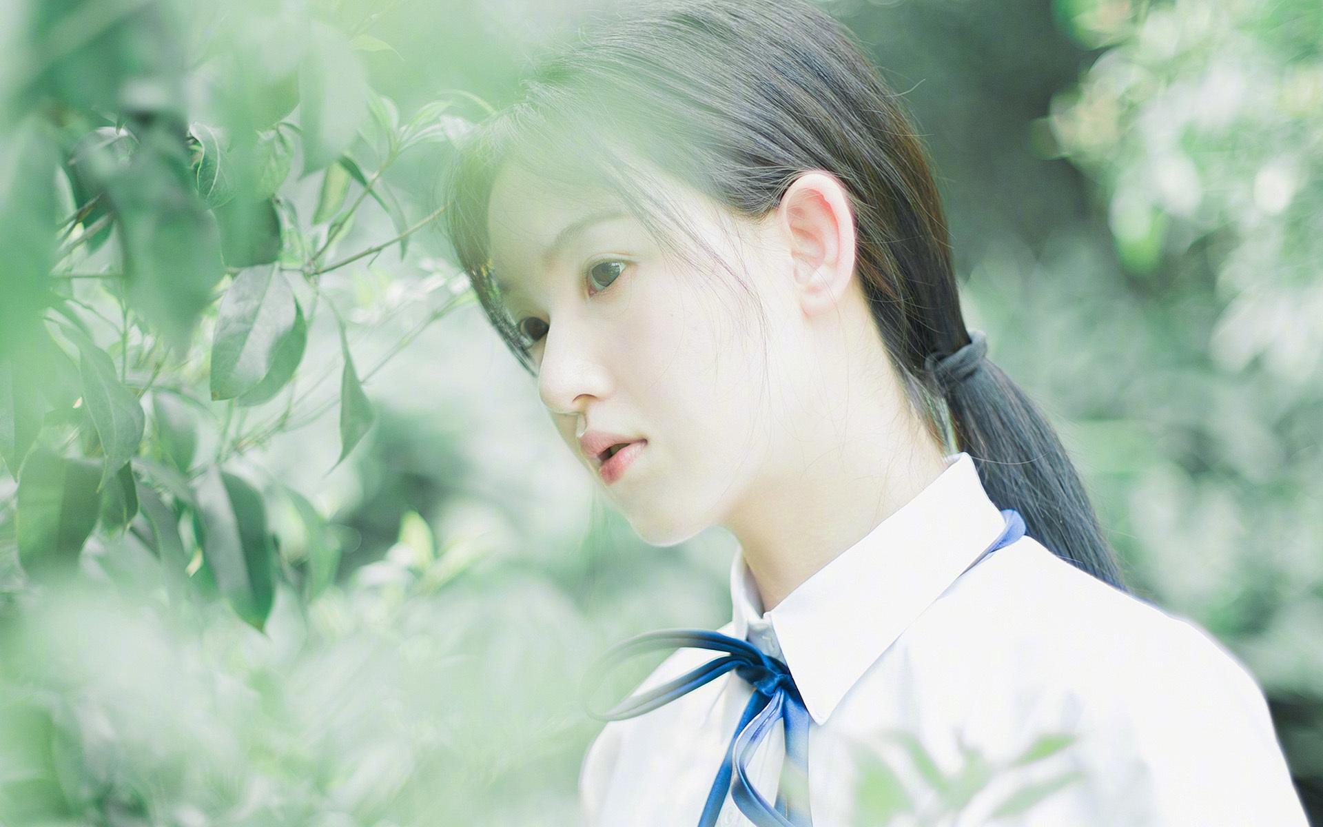 高校体育专业人才培养模式与就业能力研究，体育教育专业本科人才培养目标