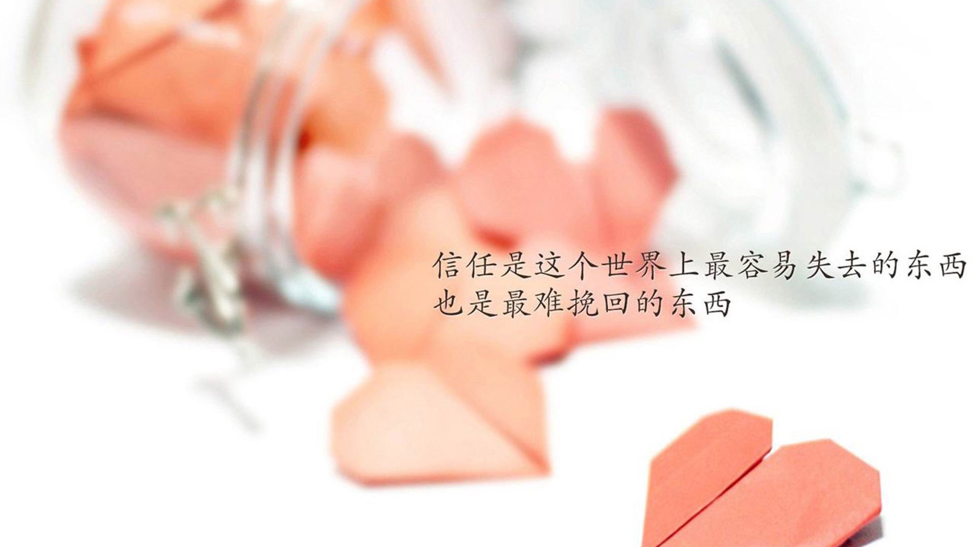 中国篮球青训体系急需重塑基础薄弱问题凸显,篮球青训是什么意思