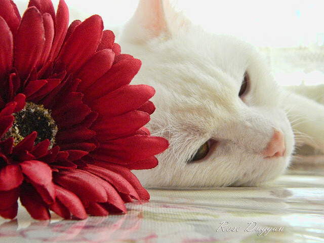 国际热身赛中国足球惨败 球迷冷静分析,国足敲定热身赛对手